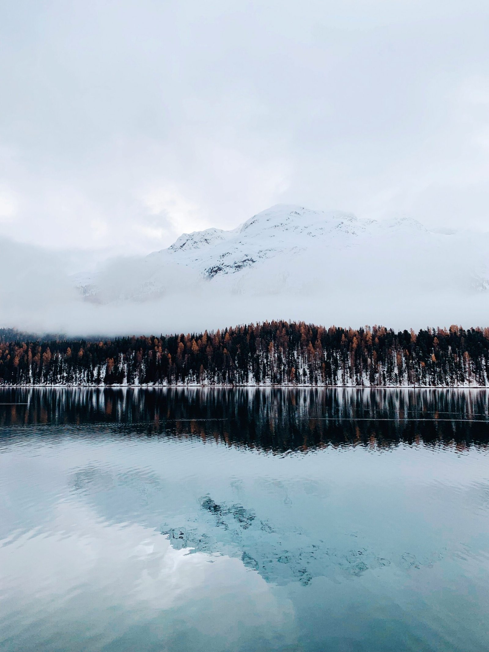 alberto-bianchini-ZdrW0eR3cQw-unsplash